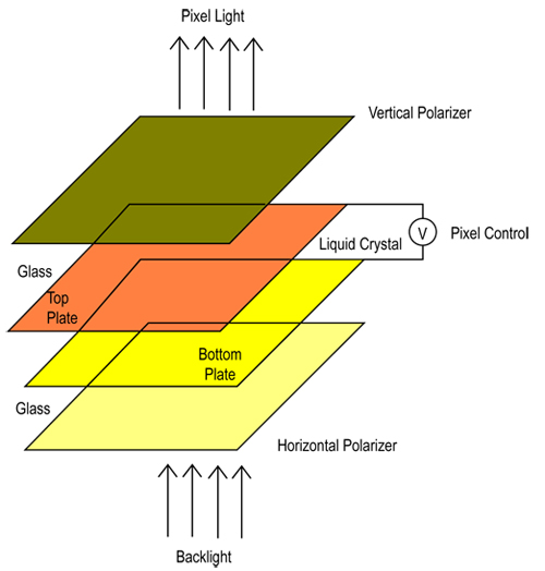 Polarized light is passed through a liquid crystal Polarized light is passed through a liquid crystal cell